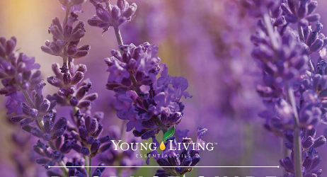 Young Living 2015 Product Guide