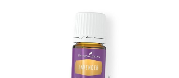 Lavender essential oil