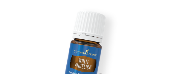 White Angelica