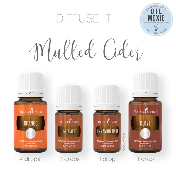 Mulled Cider Diffuser Blend