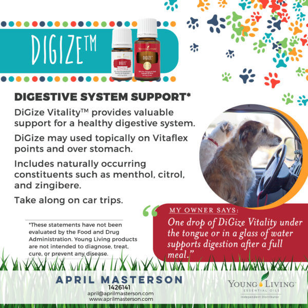 DiGize for Dogs