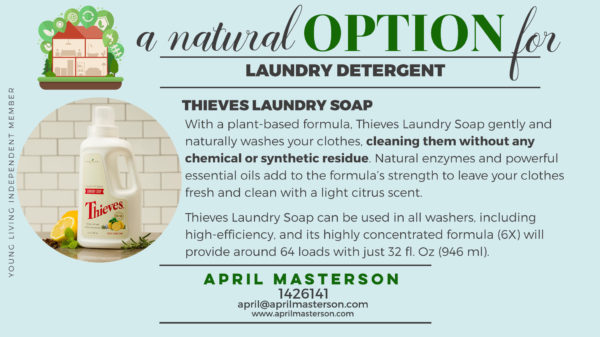 Thieves Laundry Soap