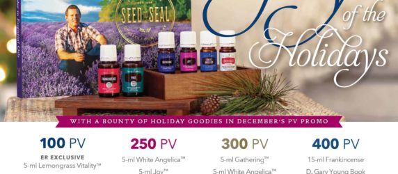 December 2018 YL Promotion